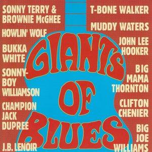 Buddy Guy Freddie Below Lonesome Jimmy Lee - First Time I Met the Blues