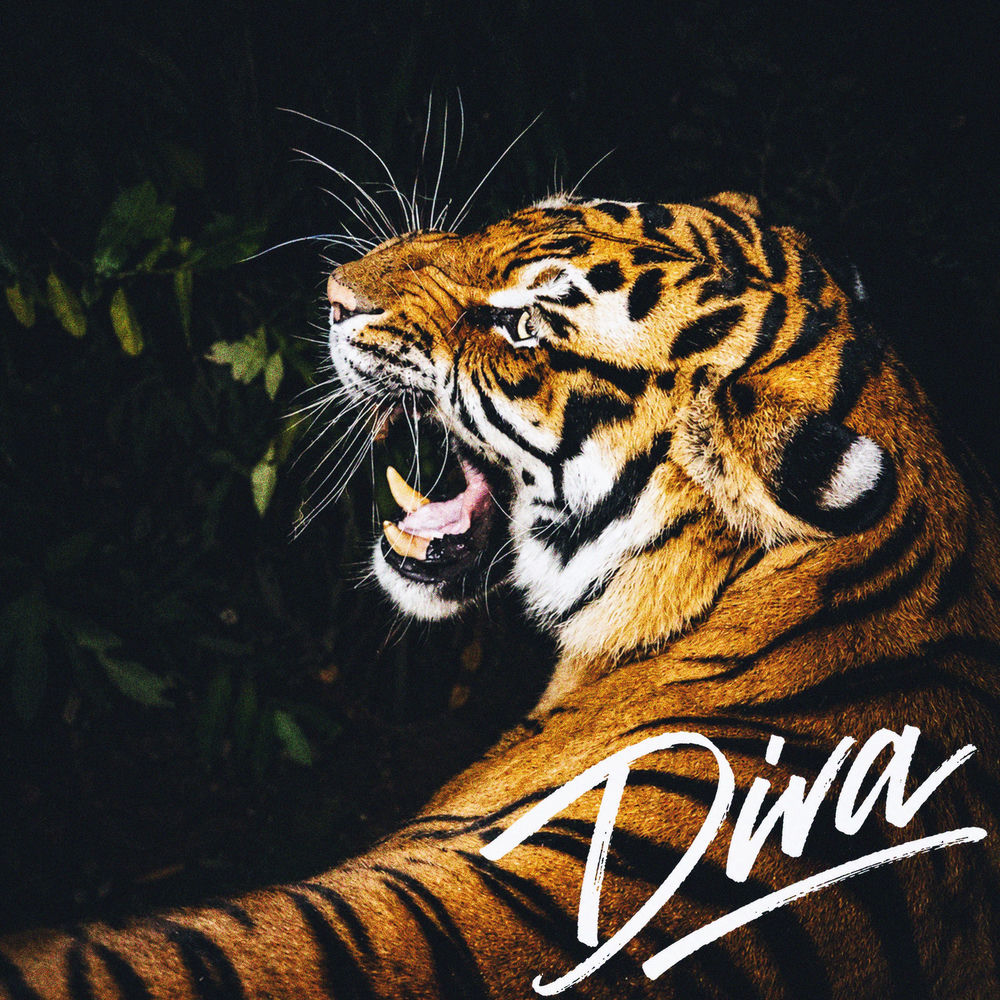 Diva - Burak Bulut