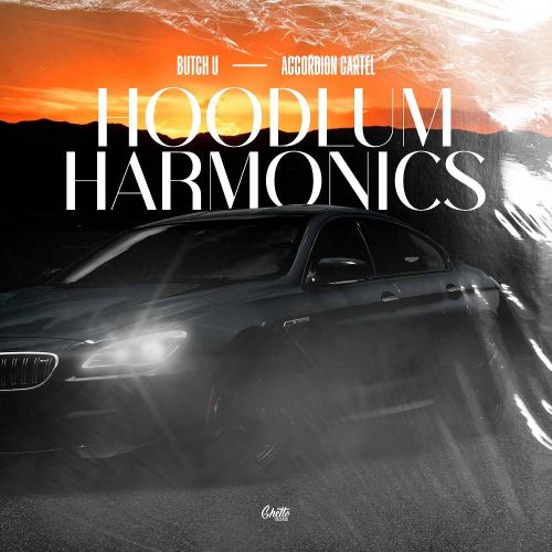 Hoodlum Harmonics - Butch U & Accordion Cartel