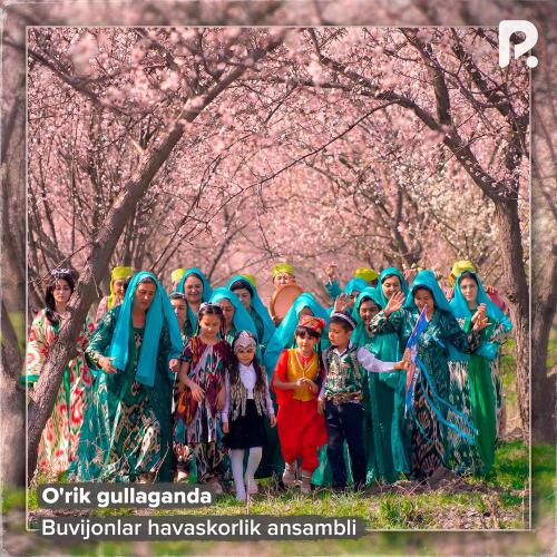 Buvijonlar havaskorlik ansambli - O'rik Gullaganda