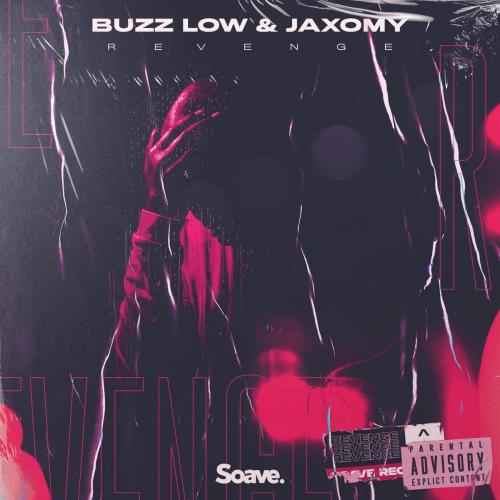 Buzz Low & Jaxomy - Revenge