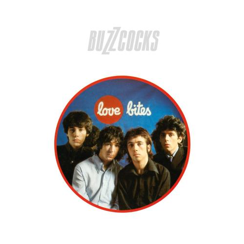 Buzzcocks - Ever Fallen In Love (With Someone You Shouldn't've)
