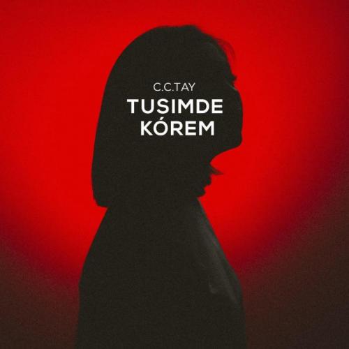 C.C.TAY - Nege