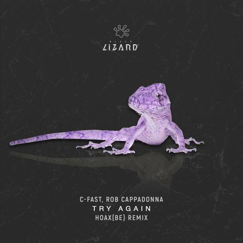 C-Fast & Rob Cappadonna - Try Again (Hoax BE Remix)