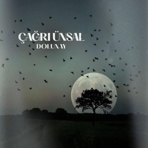 Dolunay - Çağrı Ünsal