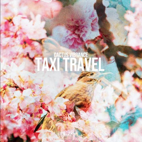Taxi Travel - Cactus Vibrance & LofiKult