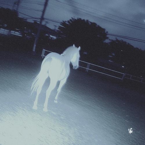 Тишина - Cafard