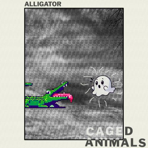 Caged Animals - Alligator