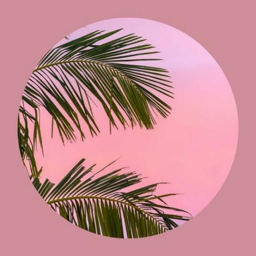 Shawty - Caku