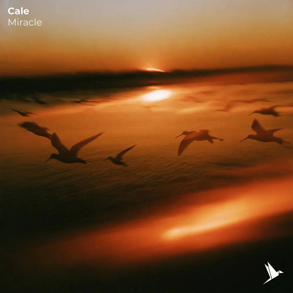 Miracle - Cale