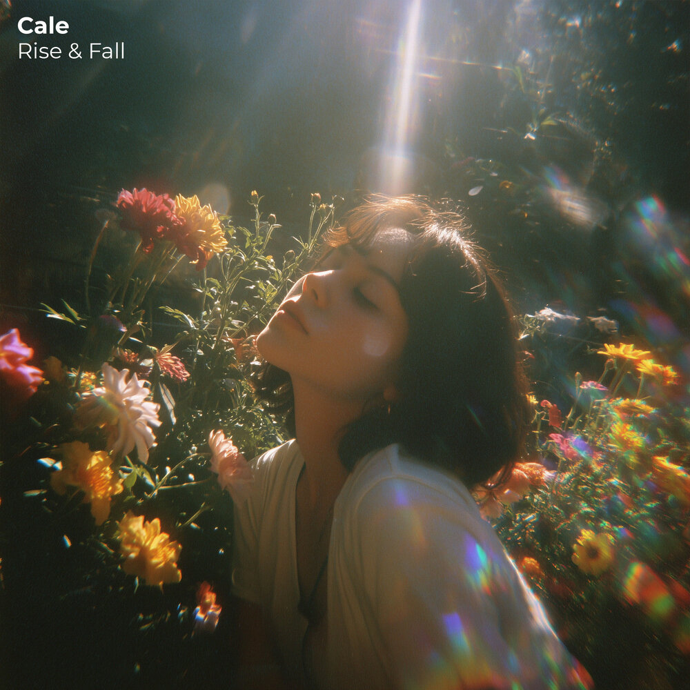 Rise & Fall - Cale
