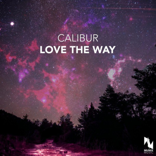 Love the Way - Calibur