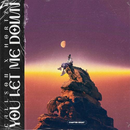 Callson & HORT2N - You Let Me Down