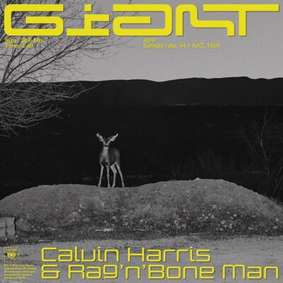 Giant (with Rag'n'Bone Man) - Calvin Harris, Rag'n'Bone Man