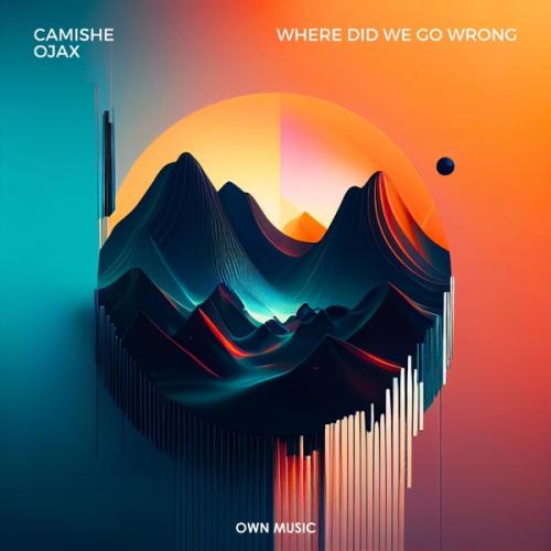 Camishe feat. Ojax - Where Did We Go Wrong