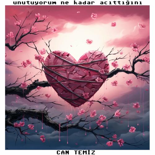 Can temiz - Unutuyorum Ne Kadar Acıttığını
