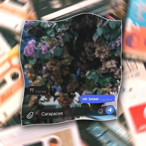 CARAPACEE - Не знаю