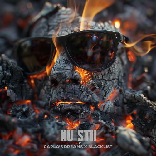 Carlas Dreams feat. Blacklist - Nu Stii