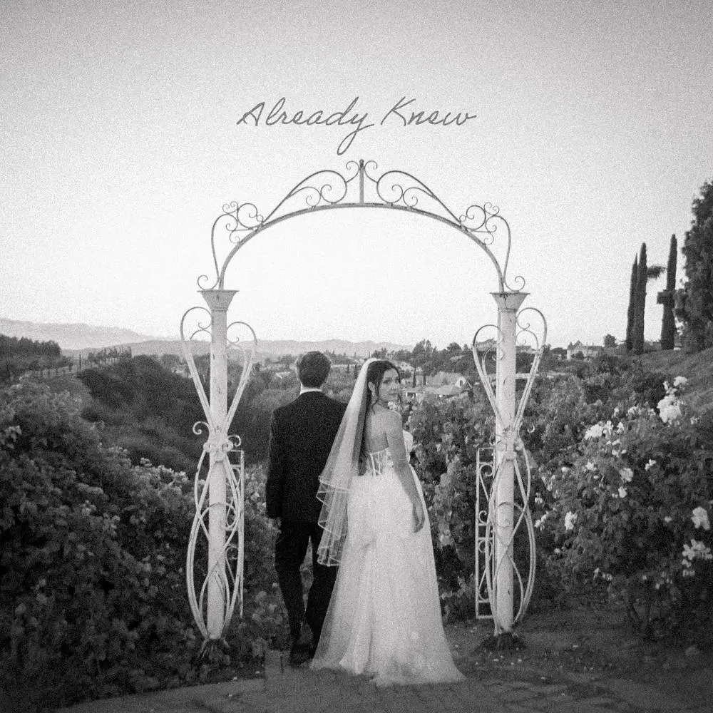 Already Knew - Casey Cook
