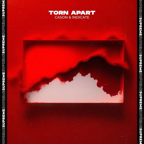 CASON, Indicate - Torn Apart