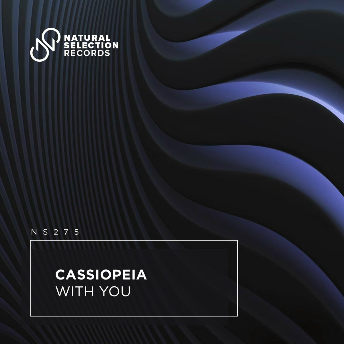 With You - Cassiopeia