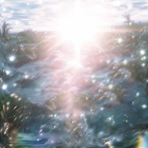 CAT GRAY EYES & FMSAO - Netmazuta