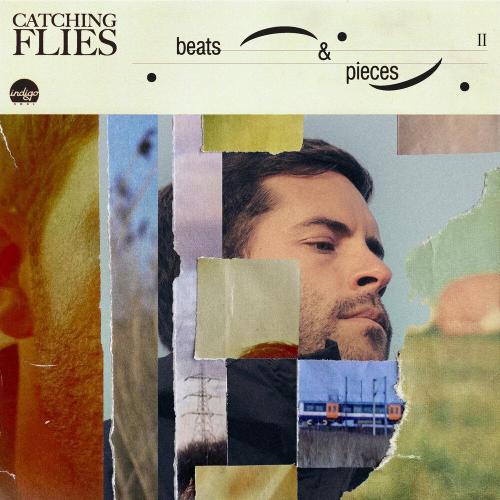 Catching Flies - Sunlite