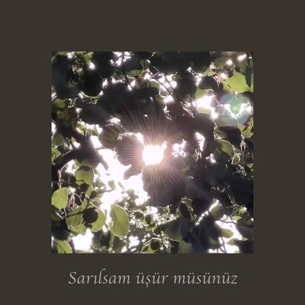 Sarılsam Üşür müsünüz - Cem Adrian