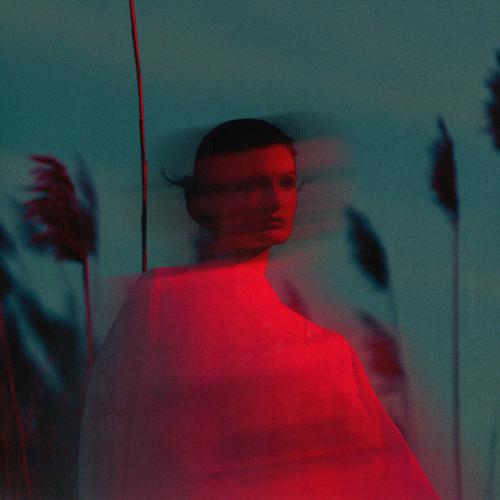 Cepaque, WHYCARE & freeroll. - Waterfall
