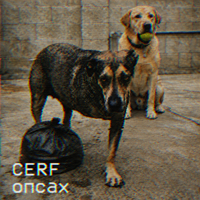 CERF - опсах