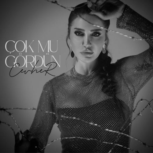 Cevher - Çok Mu Gördün