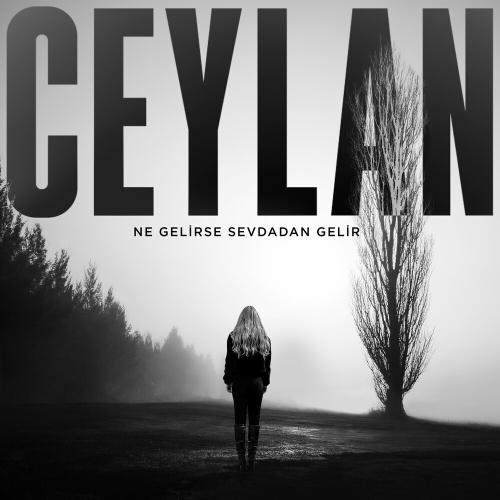 Ceylan - Ne Gelirse Sevdadan Gelir