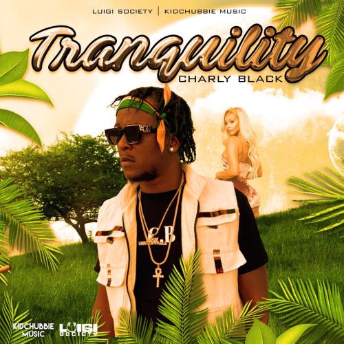 Charly Black & Luigi Society - Tranquility