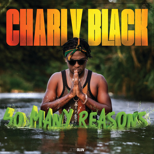 Ravin' - charly black & Sean Paul & Greeicy