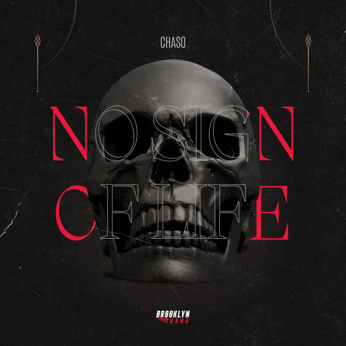 CHASO - No signs of life