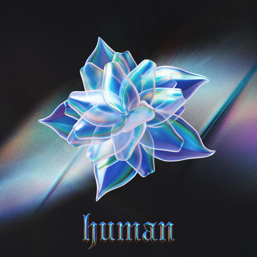 Human (Instrumental) - Cheat Codes & LP
