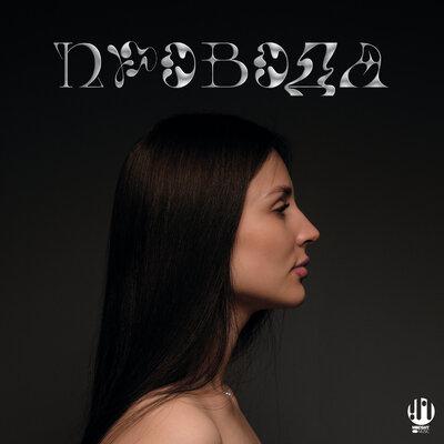 CHEBUNINA - Провода
