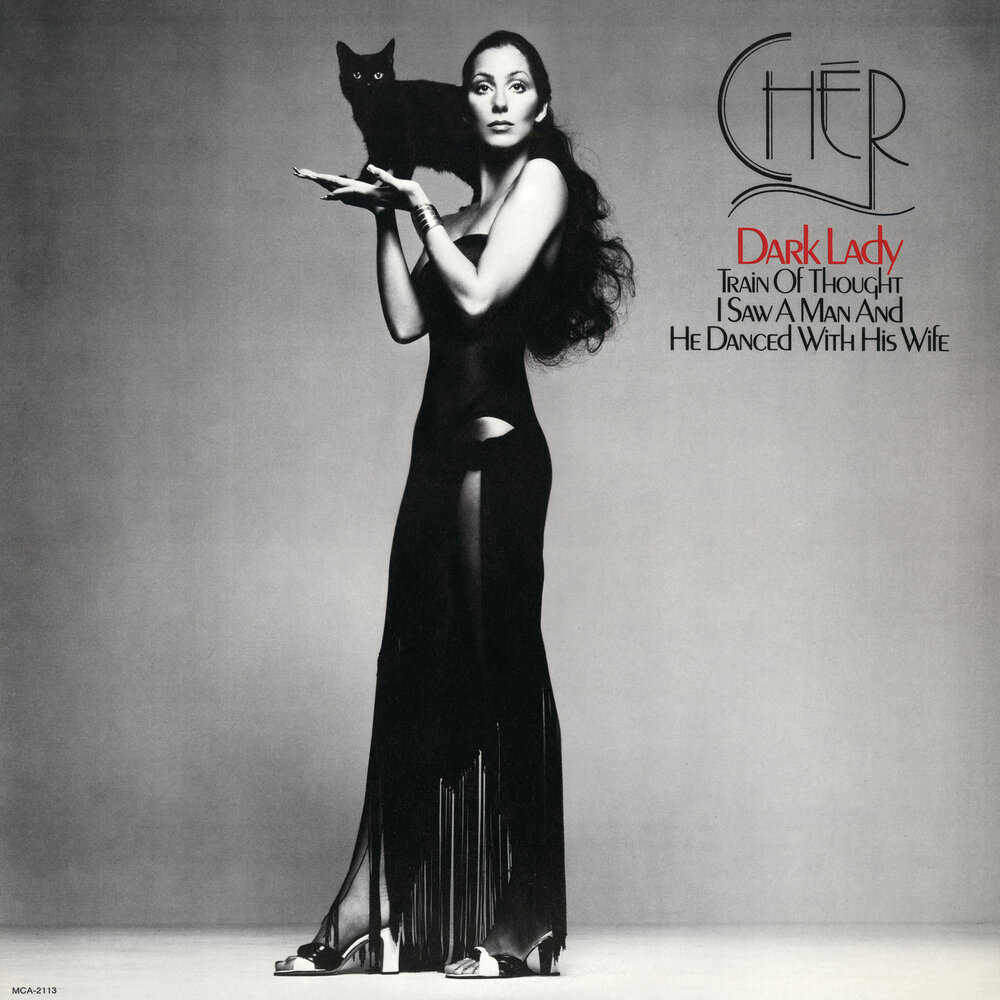 I Saw A Man And He Danced With His Wife - Cher