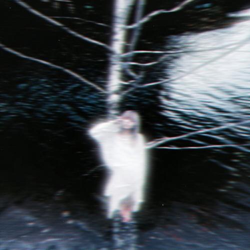 CHERIZEM, NICOLE - river