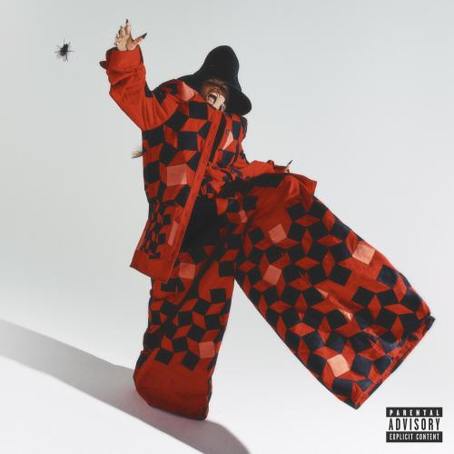 CHINCHILLA - MF Diamond