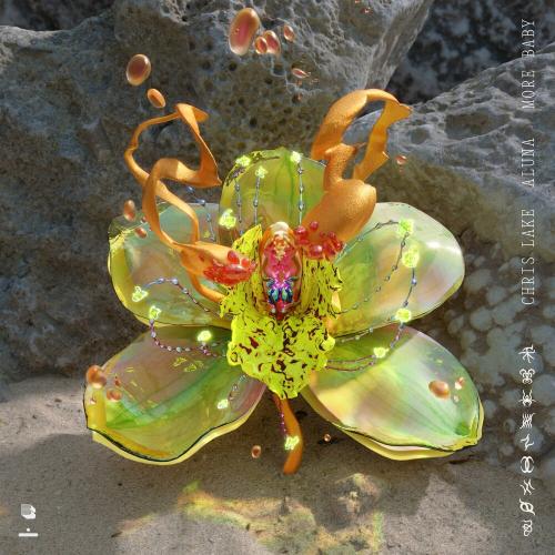 Chris Lake feat. Aluna - More Baby (VIP Mix)