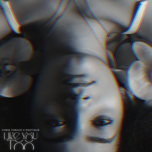 Chris Thrace & Esotique - Like You Too