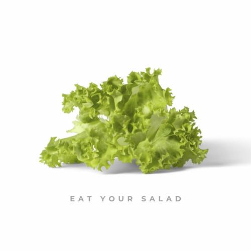 Citi Zeni - Eat Your Salad
