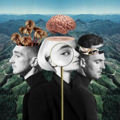 Clean Bandit feat. Charli XCX & Bhad Bhabie - Playboy Style 