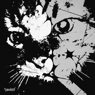 Cobwebs - ника паутинова