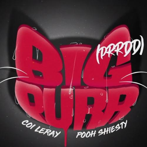 Coi Leray feat. Pooh Shiesty - BIG PURR (Prrdd)