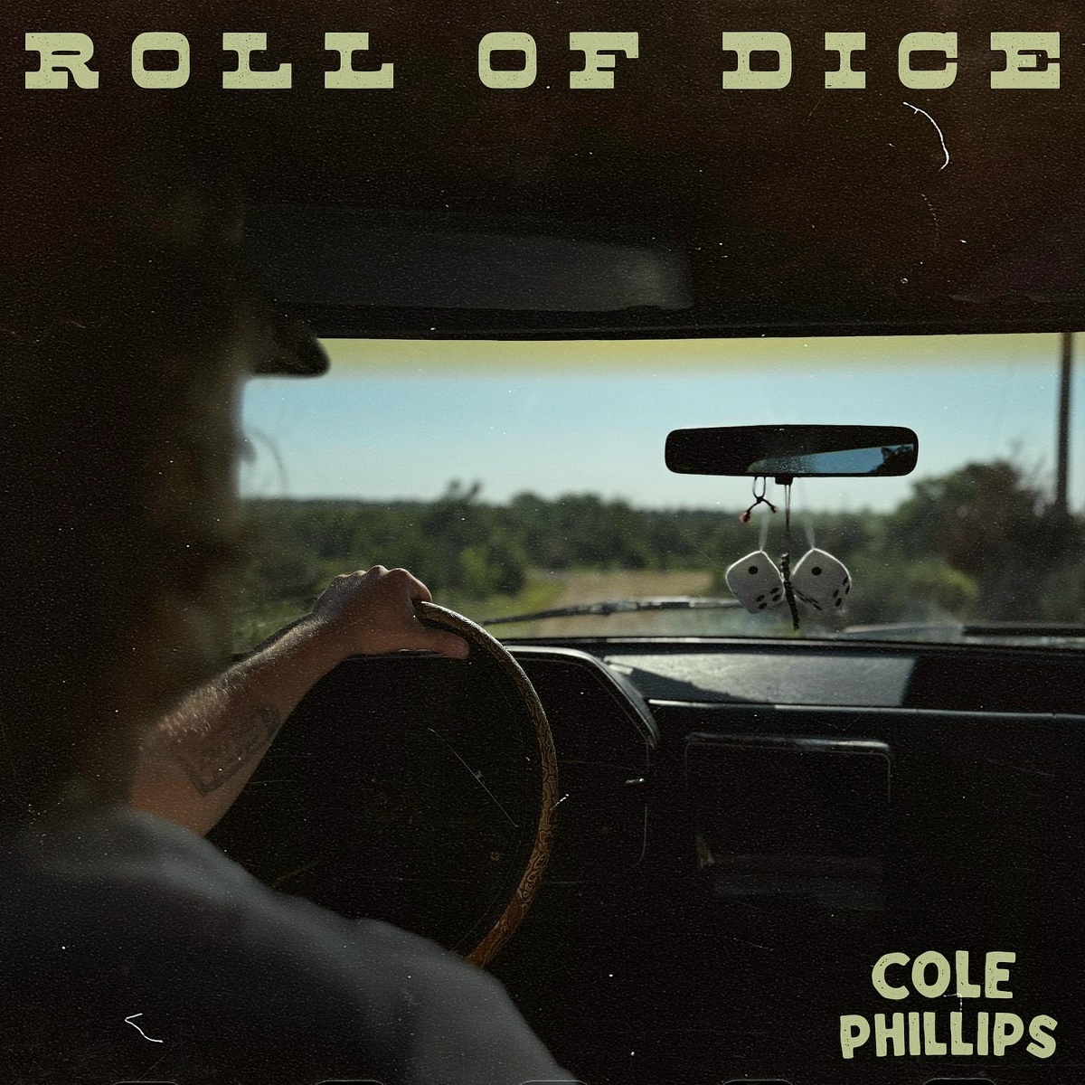 Roll of Dice - Cole Phillips