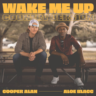 Cooper Alan, Aloe Blacc - Wake Me up Country Version