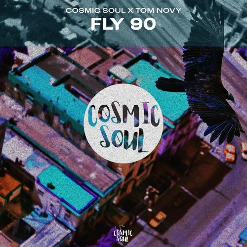 Cosmic Soul & Tom Novy - Fly 90 (Radio Edit)
