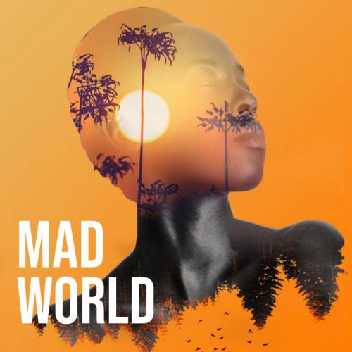 Cosmo Korg - Mad World